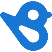 Logo Birdeye