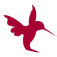 Logo Colibri Advanced Solutions