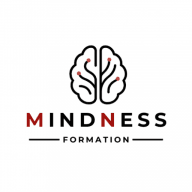 Logo MINDNESS