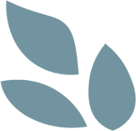 Logo ORAVENDIS